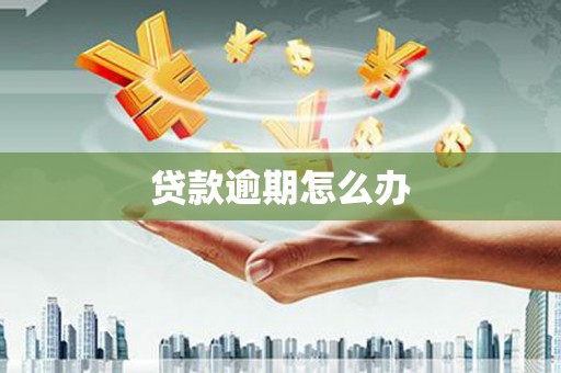 沈北新区贷款逾期怎么办