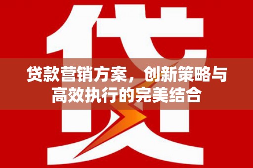 沈北新区贷款营销方案，创新策略与高效执行的完美结合