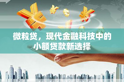 沈北新区微粒贷，现代金融科技中的小额贷款新选择