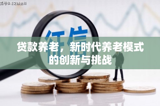 沈北新区贷款养老，新时代养老模式的创新与挑战