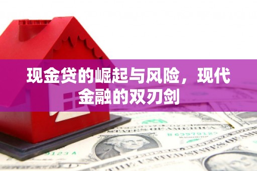 沈北新区现金贷的崛起与风险，现代金融的双刃剑