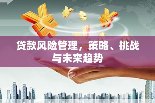 沈北新区贷款风险管理，策略、挑战与未来趋势