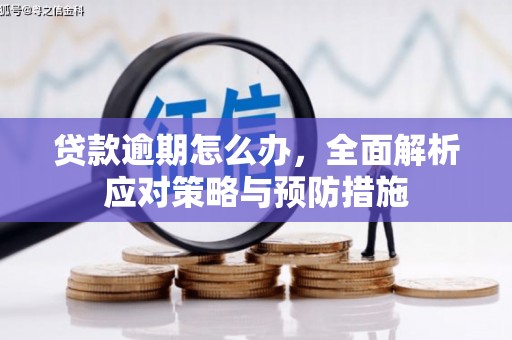 沈北新区贷款逾期怎么办，全面解析应对策略与预防措施