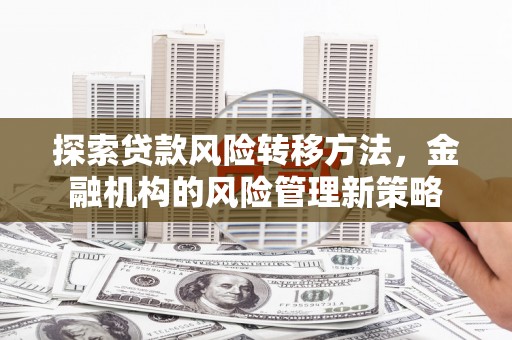 沈北新区探索贷款风险转移方法，金融机构的风险管理新策略