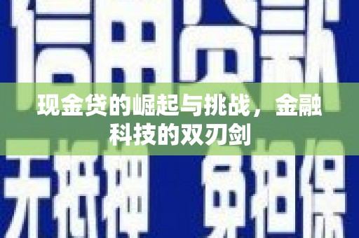沈北新区现金贷的崛起与挑战，金融科技的双刃剑