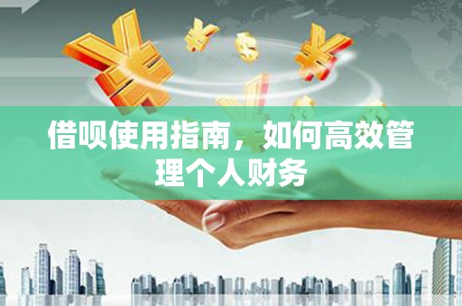 沈北新区借呗使用指南，如何高效管理个人财务