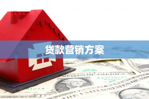 沈北新区贷款营销方案
