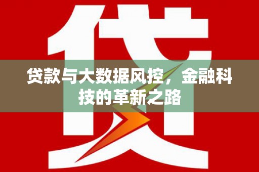 沈北新区贷款与大数据风控，金融科技的革新之路