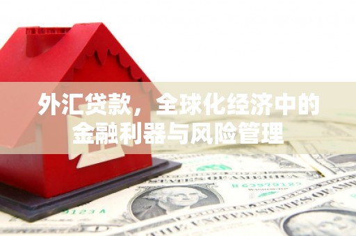 沈北新区外汇贷款，全球化经济中的金融利器与风险管理