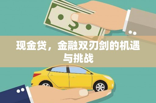 沈北新区现金贷，金融双刃剑的机遇与挑战