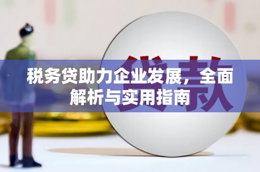 沈北新区税务贷助力企业发展，全面解析与实用指南