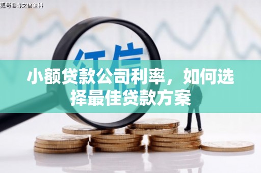 沈北新区小额贷款公司利率，如何选择最佳贷款方案