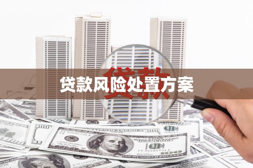 沈北新区贷款风险处置方案