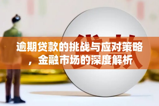 沈北新区逾期贷款的挑战与应对策略，金融市场的深度解析