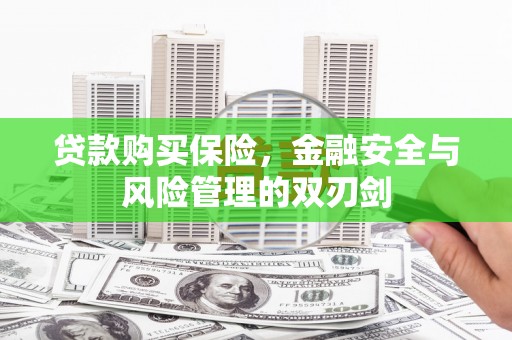 沈北新区贷款购买保险，金融安全与风险管理的双刃剑
