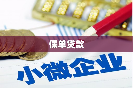 沈北新区保单贷款