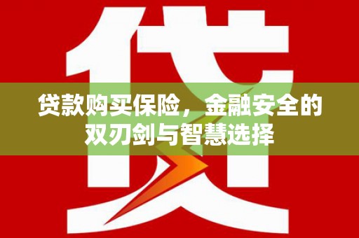 沈北新区贷款购买保险，金融安全的双刃剑与智慧选择