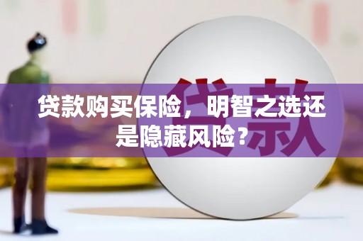 沈北新区贷款购买保险，明智之选还是隐藏风险？