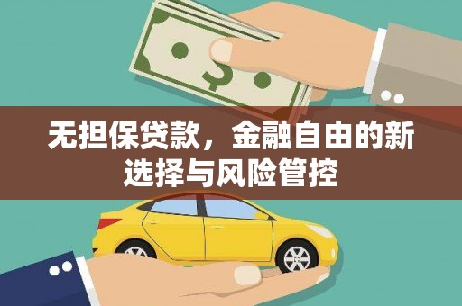 沈北新区无担保贷款，金融自由的新选择与风险管控
