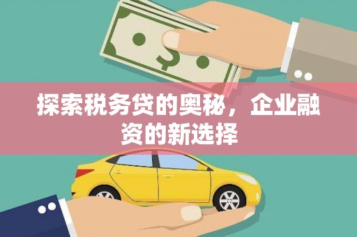 沈北新区探索税务贷的奥秘，企业融资的新选择