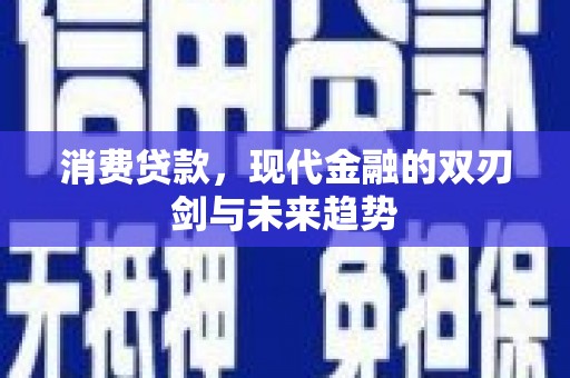 沈北新区消费贷款，现代金融的双刃剑与未来趋势