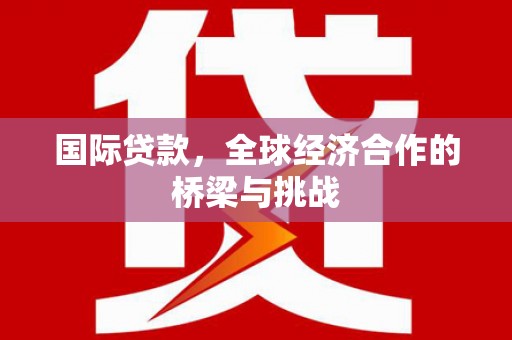 沈北新区国际贷款，全球经济合作的桥梁与挑战