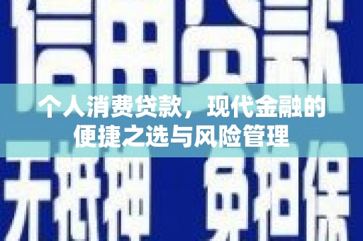 沈北新区个人消费贷款，现代金融的便捷之选与风险管理