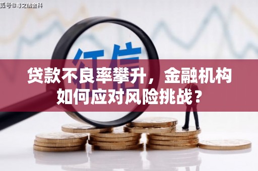 沈北新区贷款不良率攀升，金融机构如何应对风险挑战？