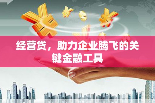 沈北新区经营贷，助力企业腾飞的关键金融工具