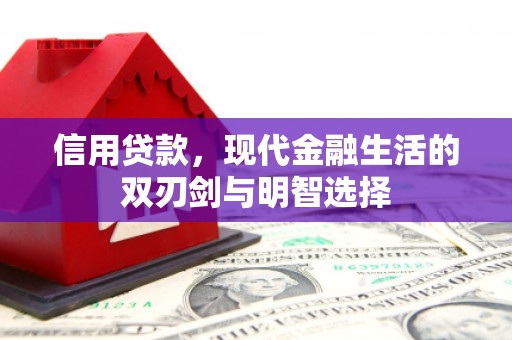 沈北新区信用贷款，现代金融生活的双刃剑与明智选择