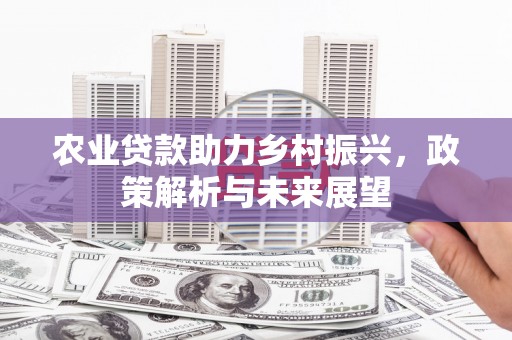 沈北新区农业贷款助力乡村振兴，政策解析与未来展望