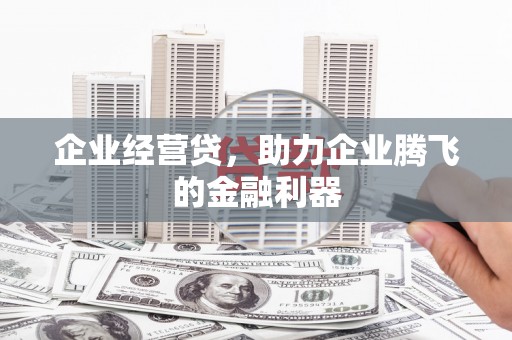 沈北新区企业经营贷，助力企业腾飞的金融利器