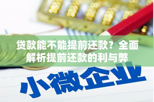 沈北新区贷款能不能提前还款？全面解析提前还款的利与弊