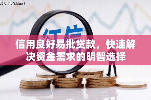 沈北新区信用良好易批贷款，快速解决资金需求的明智选择