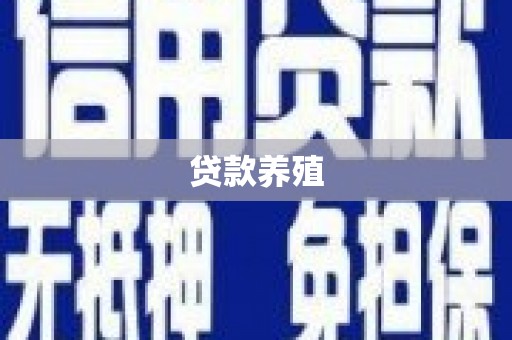 沈北新区贷款养殖