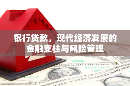 沈北新区银行贷款，现代经济发展的金融支柱与风险管理