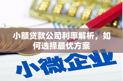 沈北新区小额贷款公司利率解析，如何选择最优方案