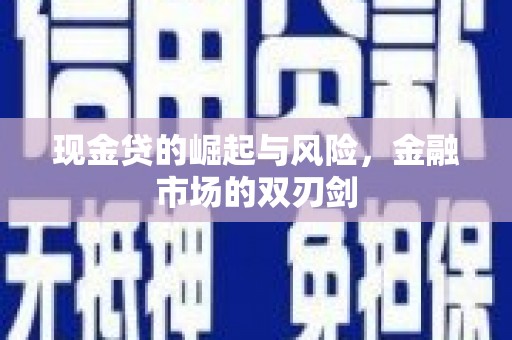 沈北新区现金贷的崛起与风险，金融市场的双刃剑