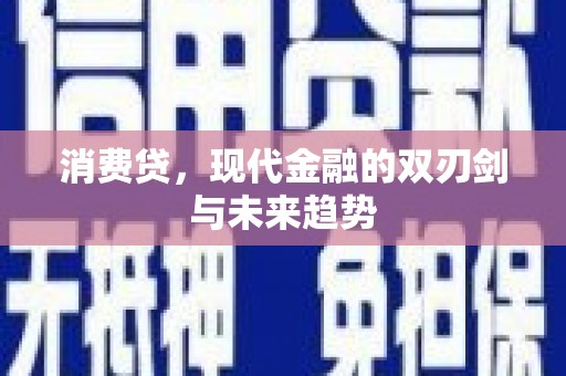 沈北新区消费贷，现代金融的双刃剑与未来趋势