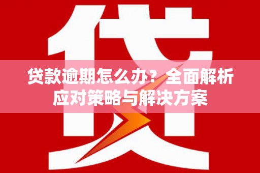 沈北新区贷款逾期怎么办？全面解析应对策略与解决方案