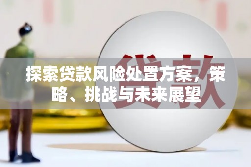 沈北新区探索贷款风险处置方案，策略、挑战与未来展望
