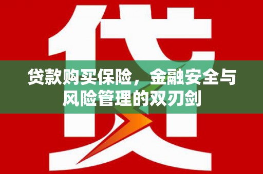 沈北新区贷款购买保险，金融安全与风险管理的双刃剑