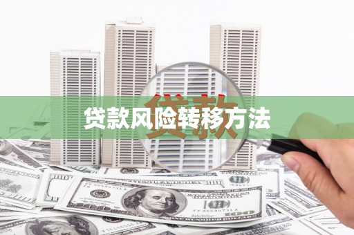 沈北新区贷款风险转移方法