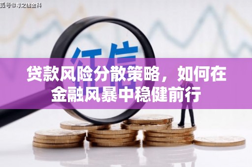 沈北新区贷款风险分散策略，如何在金融风暴中稳健前行