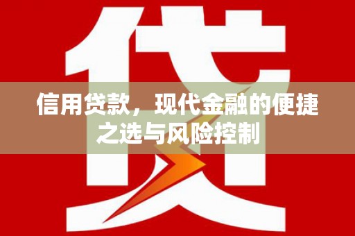 沈北新区信用贷款，现代金融的便捷之选与风险控制