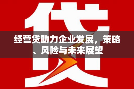 沈北新区经营贷助力企业发展，策略、风险与未来展望
