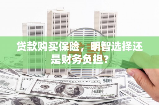 沈北新区贷款购买保险，明智选择还是财务负担？