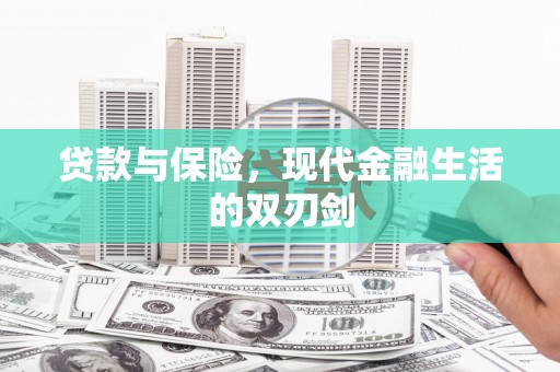 沈北新区贷款与保险，现代金融生活的双刃剑