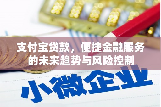 沈北新区支付宝贷款，便捷金融服务的未来趋势与风险控制
