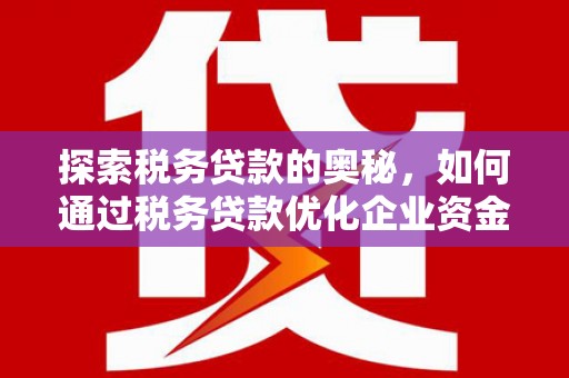 沈北新区探索税务贷款的奥秘，如何通过税务贷款优化企业资金流